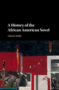 Produktbild: History of the African American Novel