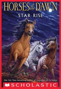 Produktbild: Star Rise
