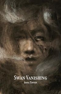 Produktbild: Swan Vanishing