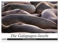 Produktbild: Galapagos-Inseln - Ein Paradies f&uuml;r Tiere (Wandkalender 2027 DIN A2 quer), CALVENDO Monatskalender