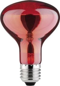 Produktbild: Paulmann Infrarotlampe E27 60W (&Oslash; x L) 80mm x 115mm 230V 1St.