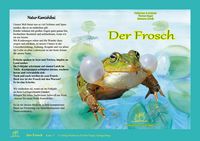 Bild vom Artikel Natur-Kamishibai / Der Frosch vom Autor Heiderose Fischer-Nagel