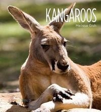 Produktbild: Kangaroos