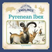 Produktbild: Pyrenean Ibex