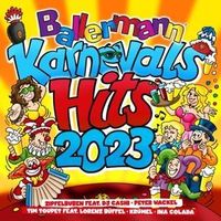 Bild vom Artikel Ballermann Karneval Hits 2023 vom Autor Various
