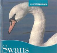 Produktbild: Swans