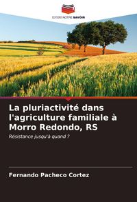 Produktbild: La pluriactivit&eacute; dans l'agriculture familiale &agrave; Morro Redondo, RS
