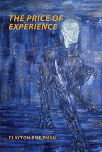 Produktbild: The Price of Experience