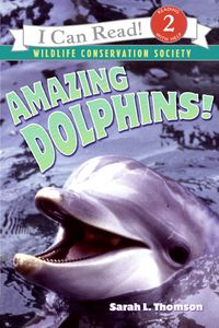 Produktbild: Amazing Dolphins