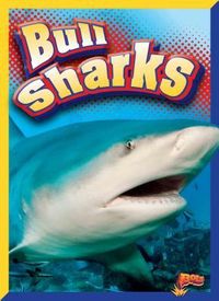 Produktbild: Bull Sharks