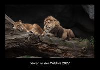 Produktbild: L&ouml;wen in der Wildnis 2027 Fotokalender DIN A3