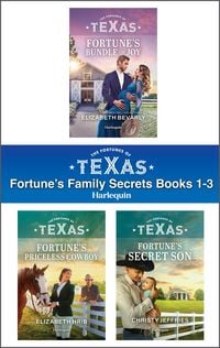 Produktbild: The Fortunes of Texas: Fortune's Family Secrets Books 1-3
