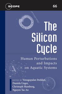Produktbild: The Silicon Cycle