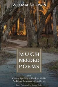 Produktbild: Much Needed Poems