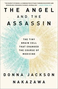 Produktbild: The Angel and the Assassin