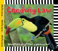 Produktbild: Cyfres Dwlu Dysgu: Coedwig Law