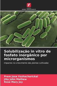 Produktbild: Solubiliza&ccedil;&atilde;o in vitro de fosfato inorg&acirc;nico por microrganismos