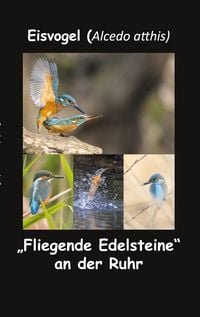 Produktbild: Eisvogel (Alcedo atthis)