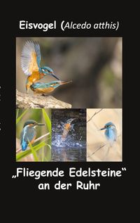Bild vom Artikel Eisvogel (Alcedo atthis) vom Autor Fotolulu