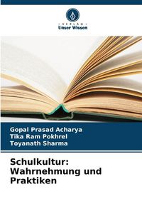 Produktbild: Schulkultur: Wahrnehmung und Praktiken