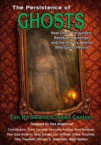 Produktbild: The Persistence of Ghosts