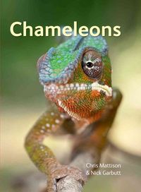 Produktbild: Mattison, C: Chameleons