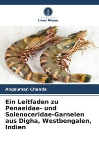 Produktbild: Ein Leitfaden zu Penaeidae- und Solenoceridae-Garnelen aus Digha, Westbengalen, Indien