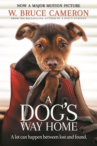 Produktbild: A Dog's Way Home