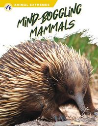 Produktbild: Mind-Boggling Mammals