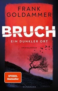 Produktbild: Bruch: Ein dunkler Ort