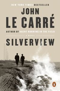 Produktbild: Silverview