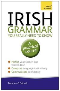 Produktbild: Irish Grammar You Really Need to Know: Teach Yourself