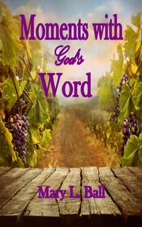 Produktbild: Moments with God's Word