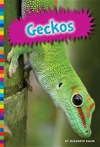 Produktbild: Geckos