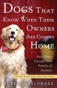 Produktbild: Dogs That Know When Their Owners Are Coming Home