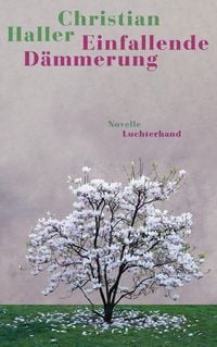 Produktbild: Einfallende D&auml;mmerung