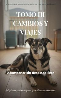 Produktbild: TOMO III - CAMBIOS Y VIAJES Acompa&ntilde;ar sin desestabilizar (MESTIZOS, #3)