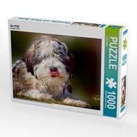 Produktbild: CALVENDO Puzzle Der PON | 1000 Teile Lege-Gr&ouml;&szlig;e 64x48cm Foto-Puzzle f&uuml;r gl&uuml;ckliche Stunden