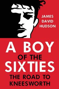 Produktbild: A Boy of the Sixties