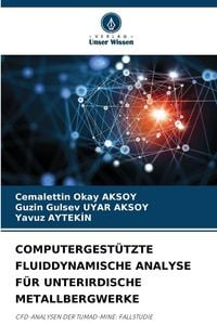 Produktbild: Computergest&uuml;tzte Fluiddynamische Analyse f&uuml;r Unterirdische Metallbergwerke