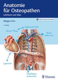 Bild vom Artikel Anatomie für Osteopathen vom Autor Margarethe Corts