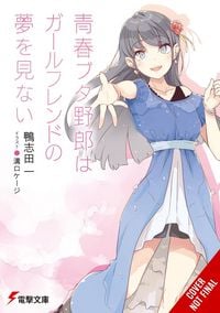 Produktbild: Rascal Does Not Dream of His Girlfriend (light novel)