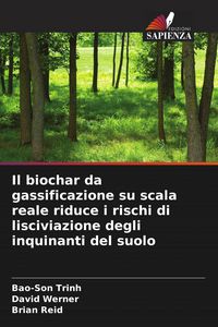 Produktbild: Il biochar da gassificazione su scala reale riduce i rischi di lisciviazione degli inquinanti del suolo