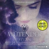 Produktbild: W&uuml;tender Sturm (Die Farben des Blutes 4)