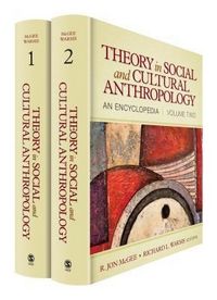 Produktbild: Theory in Social & Cultural An