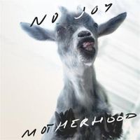 Bild vom Artikel Motherhood vom Autor No Joy
