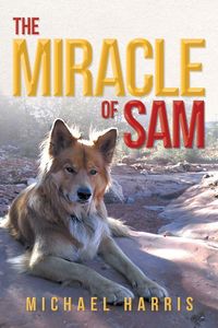 Produktbild: The Miracle of Sam
