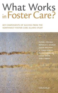 Produktbild: What Works in Foster Care?