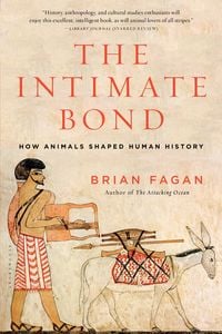 Produktbild: The Intimate Bond