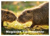 Produktbild: Magische Tiermomente (Wandkalender 2027 DIN A2 quer), CALVENDO Monatskalender
